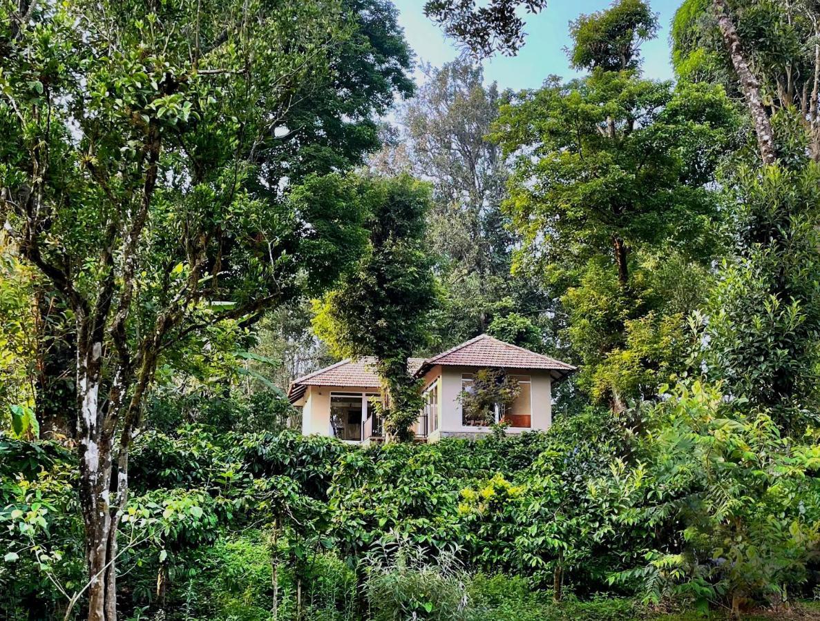 Montrose Golf Resort And Spa - Coorg Jambur Kültér fotó